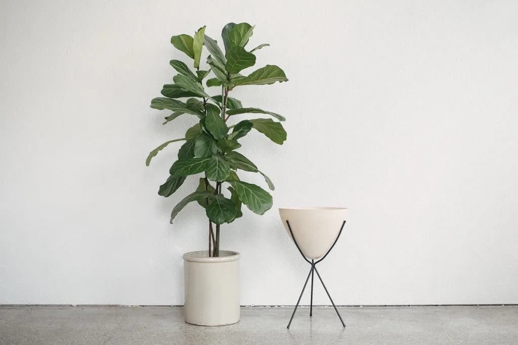 MC Bullet Planter