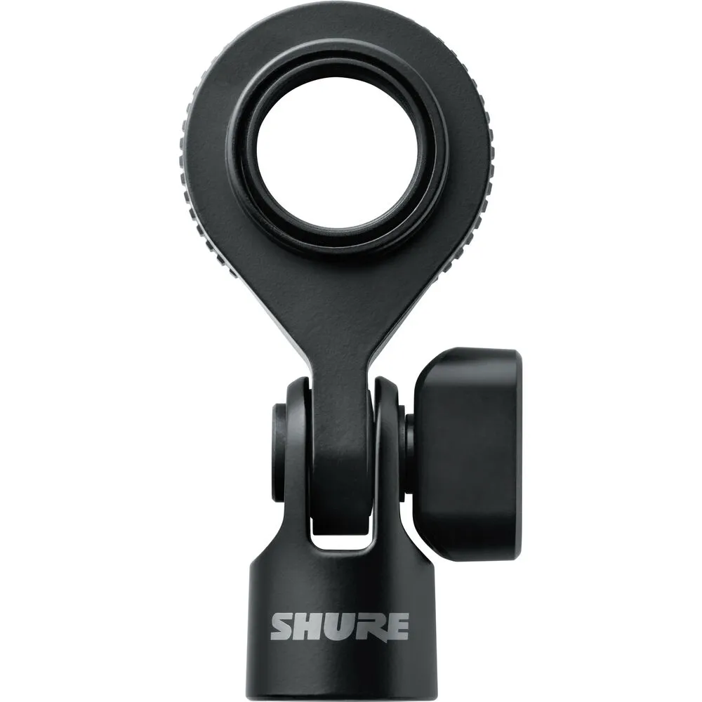 Shure SM4 Home Recording Microphone
