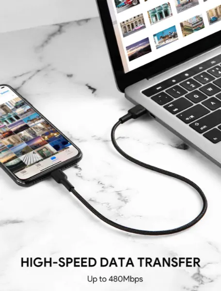 Type-C/M to Lightning Braided Cable - 1 ft x 2 (Red   Black) CB-CL06