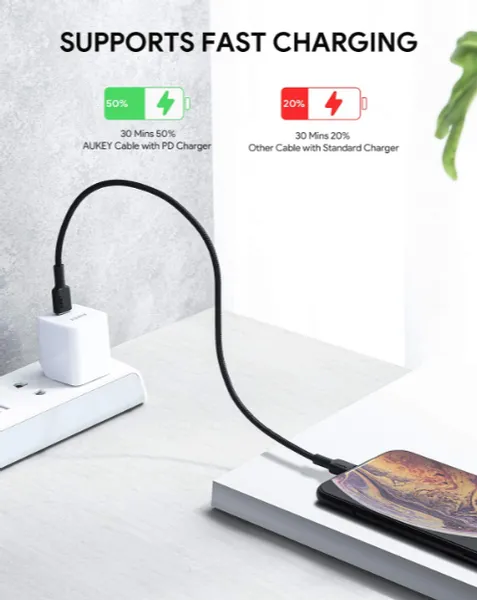 Type-C/M to Lightning Braided Cable - 1 ft x 2 (Red   Black) CB-CL06